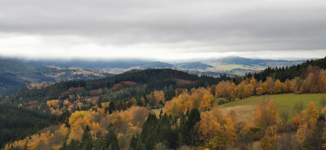 Hotel Zlaty Potok Nicov  Eksteriør billede