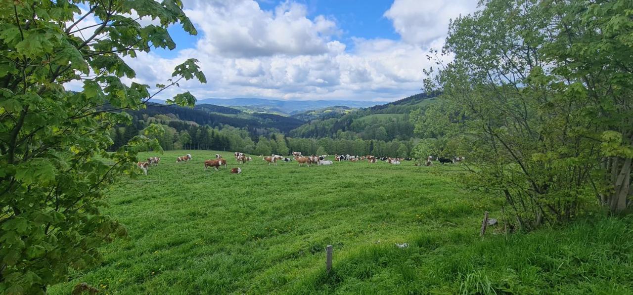 Hotel Zlaty Potok Nicov  Eksteriør billede